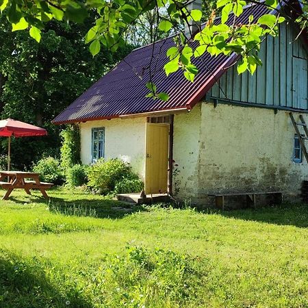 Viini Puhkemaja Casa de hóspedes Myustel' Exterior foto