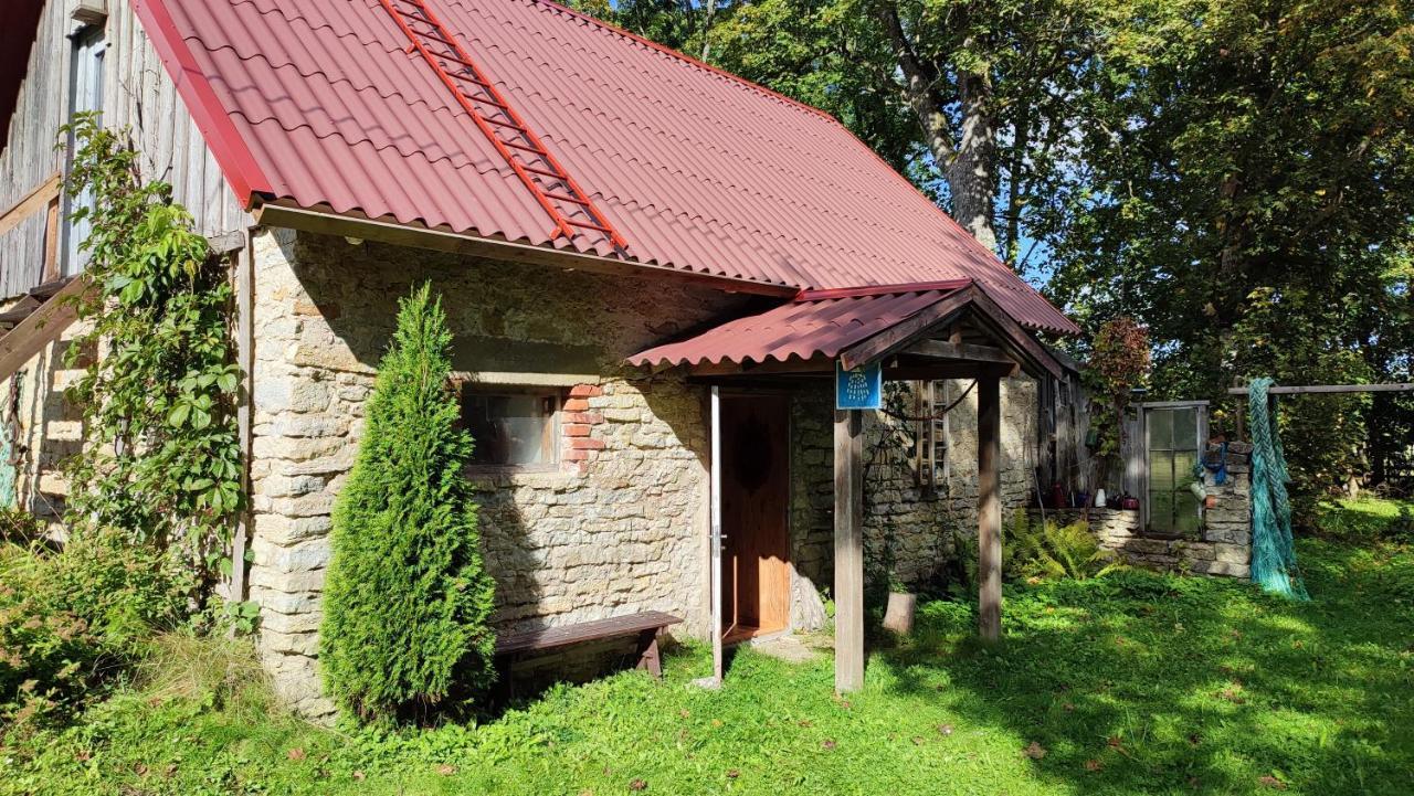 Viini Puhkemaja Casa de hóspedes Myustel' Exterior foto