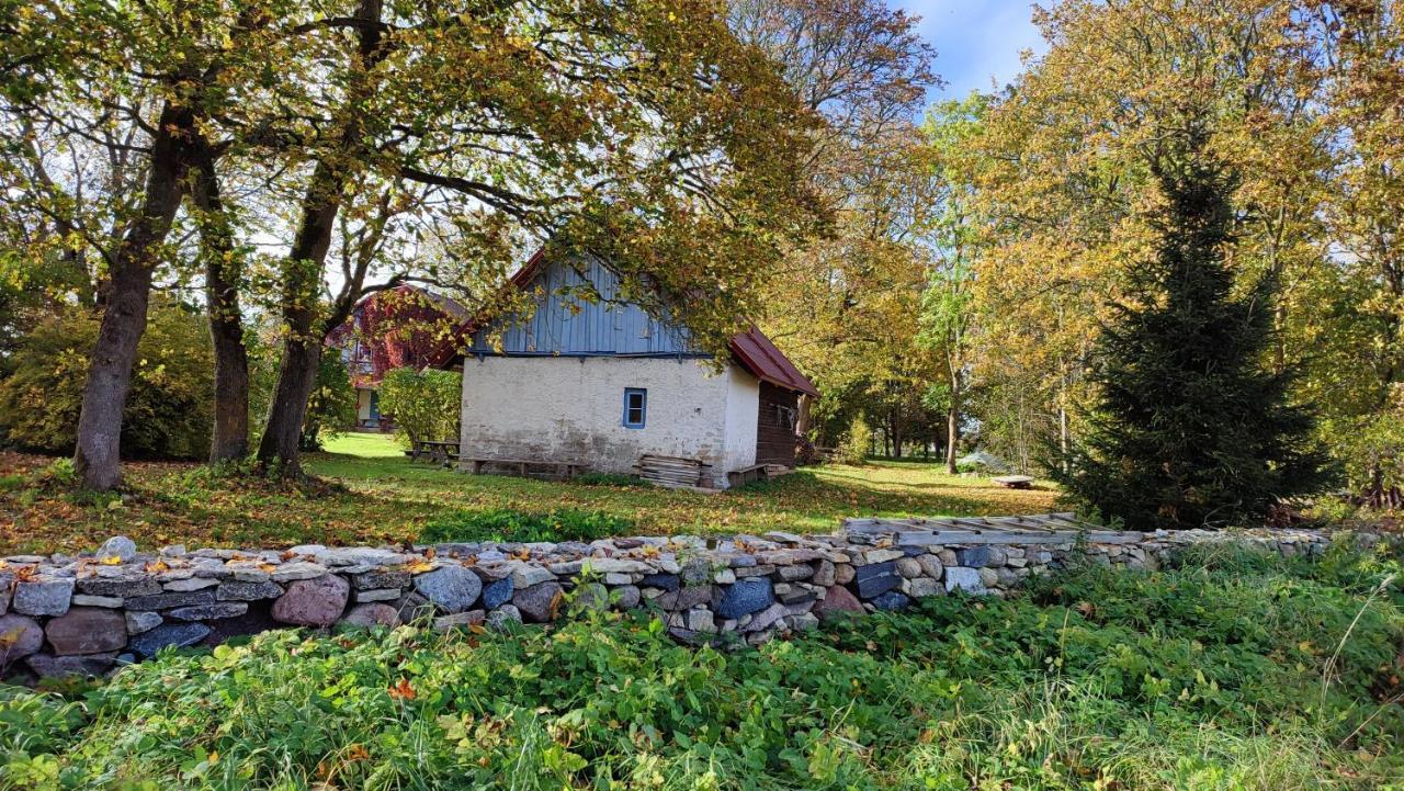 Viini Puhkemaja Casa de hóspedes Myustel' Exterior foto