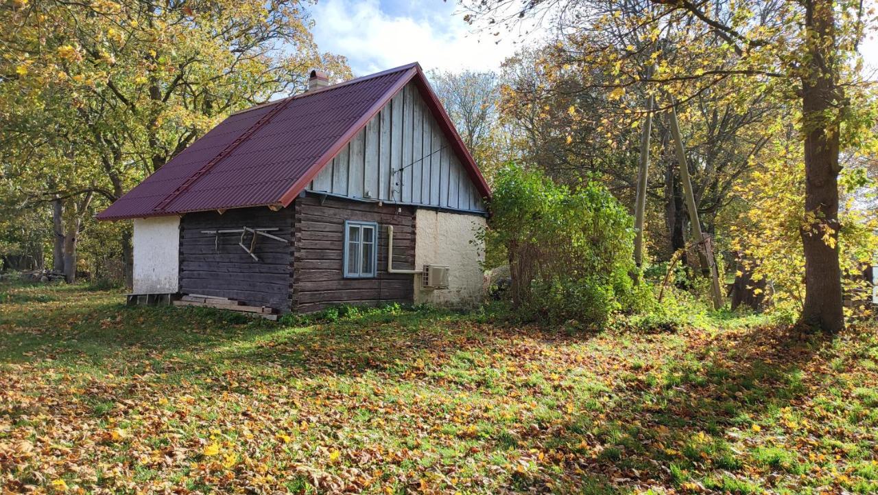 Viini Puhkemaja Casa de hóspedes Myustel' Exterior foto