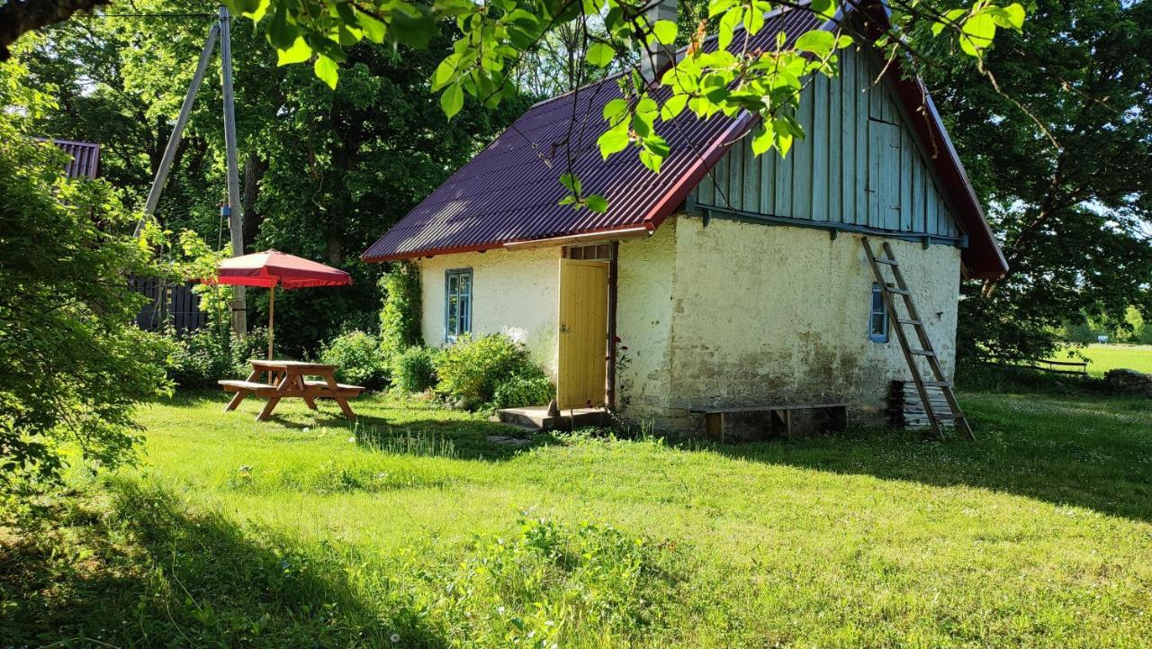Viini Puhkemaja Casa de hóspedes Myustel' Exterior foto