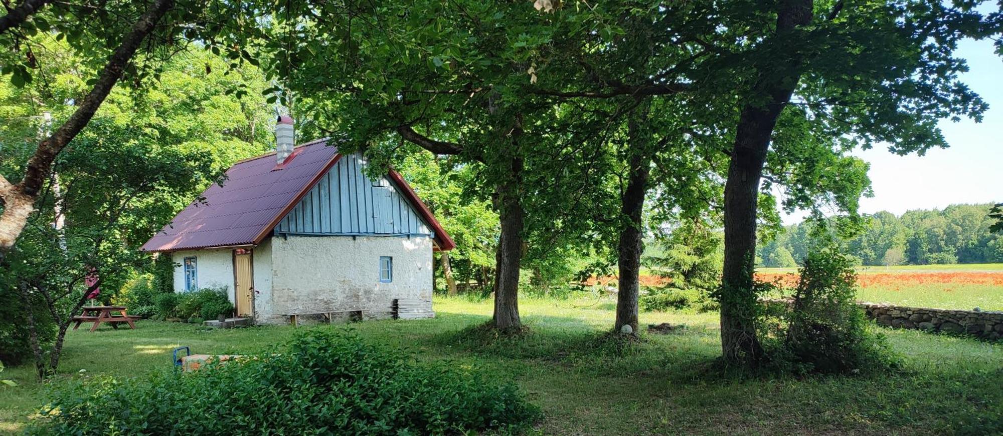 Viini Puhkemaja Casa de hóspedes Myustel' Exterior foto